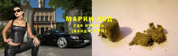 гидра Абаза