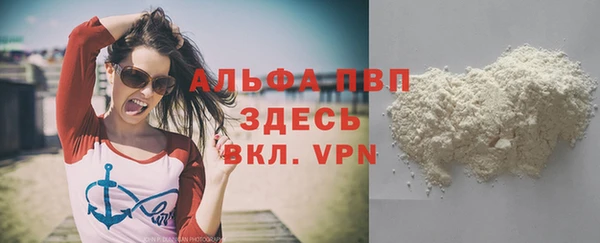 СК Алексин