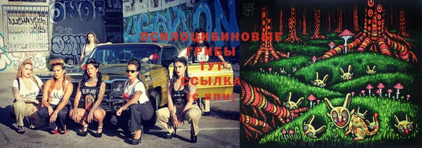 винт Алексеевка