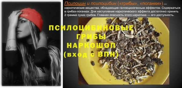 spice Абдулино