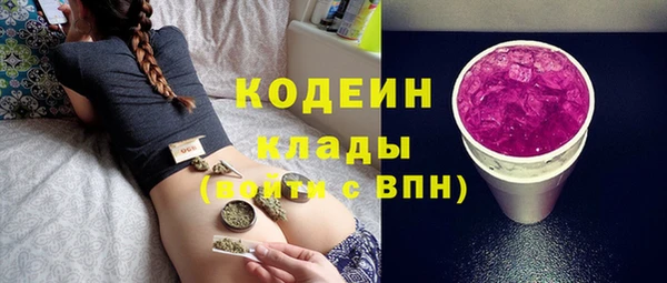 шишки Нягань