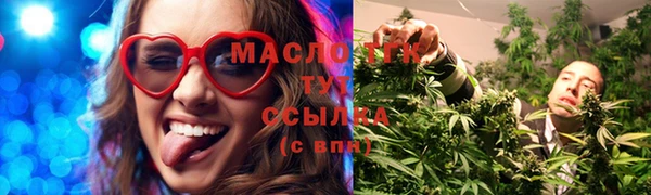 гидра Абаза