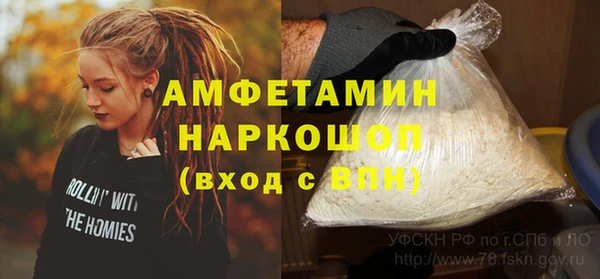 гидра Абаза